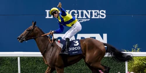 Goliath's Global Quest to Next Stop the Preis von Europa