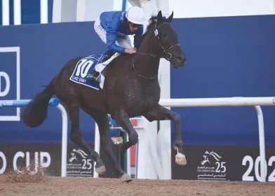 Appleby Targets Breeders' Cup with Elite Horse Squad