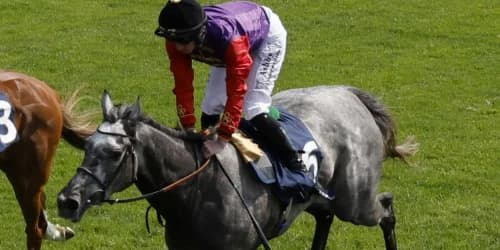 Treasure hunting Oaks glory for the King and Queen