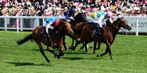 Haatem enjoys his moment in the spotlight at Royal Ascot