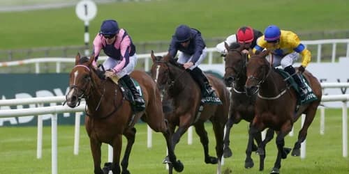 Stay Alert primed for Pretty Polly redemption