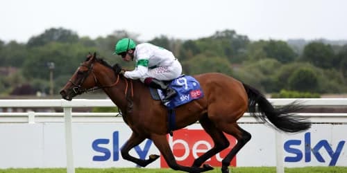 "Tamfana Dazzles in Sandown: What’s Next for This Multi-Talented Star?"