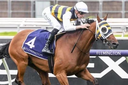 Onesmoothoperator Seeks Melbourne Cup Spot at Geelong