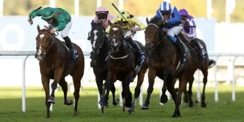 Graffard Reflects on Calandagan's Near Miss at Champions Day