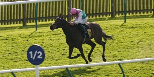 Outstanding Kalpana cut for the Champions Day task