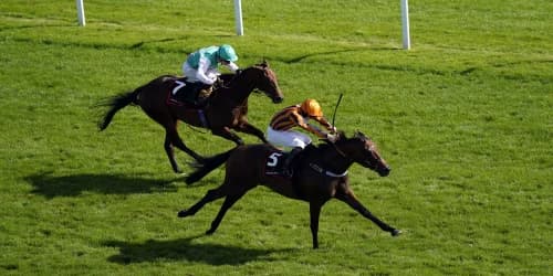 Teal believes that Shoe fits for Dancing Gemini ride