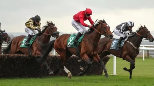 Big Evs Aims for Redemption in Coolmore Nunthorpe Stakes