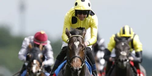 Inisherin joins cracking line-up for Commonwealth Cup