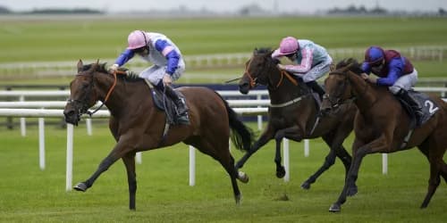 "Clash of Titans: Irish Oaks Rivals Face Off Again in Yorkshire's Top Race!"