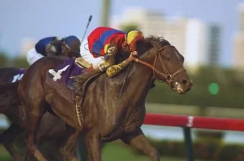 A.P. Indy: A Racing Legend and Influential Sire