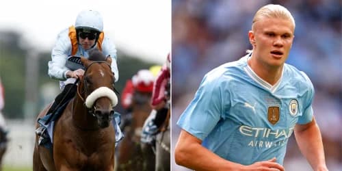 The Strikin Viking makes Wathnan Racing transfer