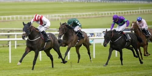 Royal reward for James Tate at the Curragh