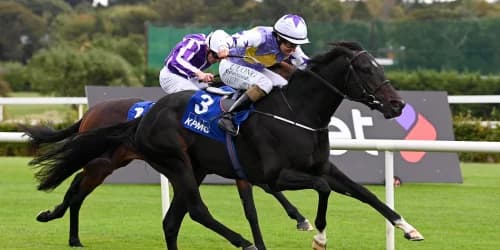 Unstoppable Green Impact Dazzles in Leopardstown Showdown, Eyes Bigger Prizes Ahead