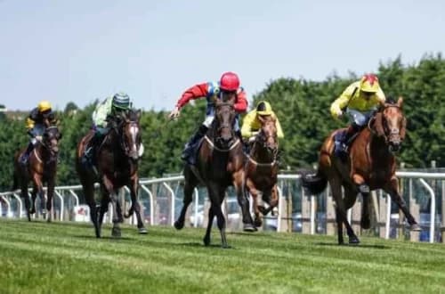 Discover Brighton Flat: A Historic Racecourse Gem