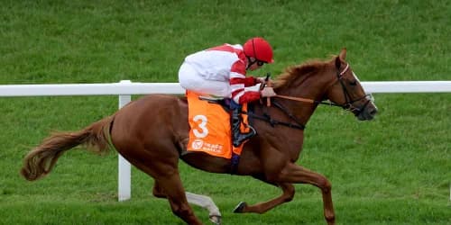 Charlton upbeat on King’s Gambit’s Hampton hopes