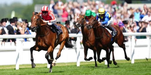 ‘He’s ready to go’ – Goliath taking on King George giants