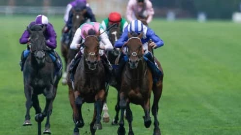 Cool Aza Rene Shines Bright at Riccarton Race Day