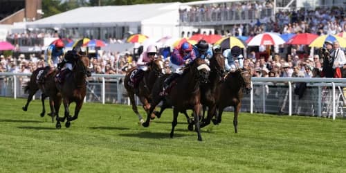 "Al Basti Equiworld Dubai Gimcrack Stakes: Big Mojo's Bold Step Up to Six Furlongs!"