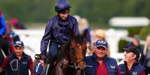 City Of Troy Impresses Fans and Racing Enthusiasts Ahead of Breeders' Cup Classic