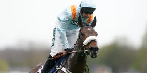 Marie’s Rock has Royal Ascot option after Flat debut