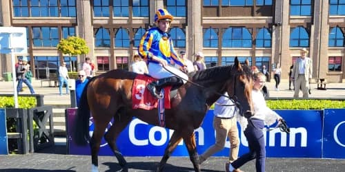 Ryan Moore Shines at Punchestown with Genealogy's Victory, Marking a Memorable Debut