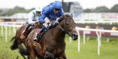 Appleby: Ancient Wisdom showing all the right signs