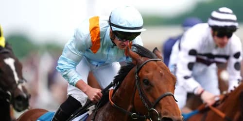 Clarendon House set for double date in York this summer