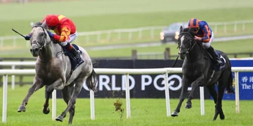 White Birch absent from Prince of Wales’s rematch with Auguste Rodin