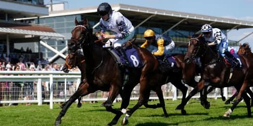 "Breakthrough Debut for Righthere Rightnow: Spencer Eyes Champagne Stakes After Impressive Win"