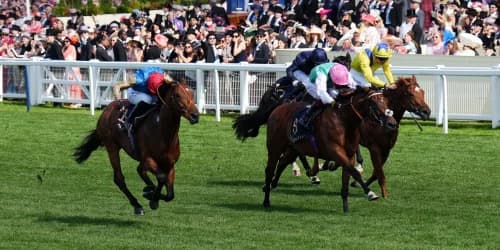 Haatem Team Optimistic Deauville Setback Is Minor