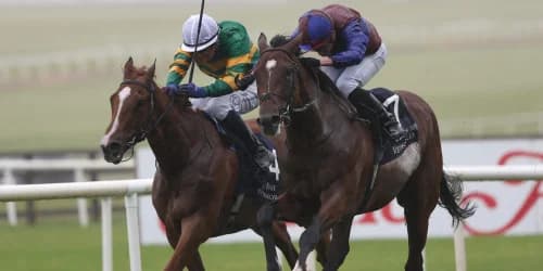 Jan Brueghel boosts Leger prospects with International win