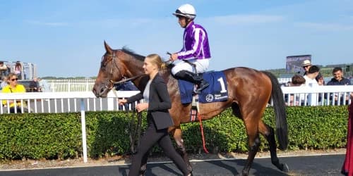 Antelope Canyon’s Gutsy Naas Victory Sets Him Up for Bigger Battles