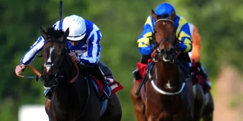 Caius Chorister camp keeping Goodwood options open