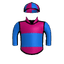 Jan Brueghel