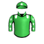 Coillte M C G