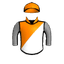 Tiny Champion