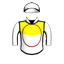 Battalion Leader