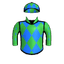 Garuda