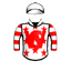 Trash Cyclone