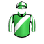 Dalsicon
