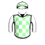 Ziggys Condor