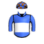 Bright Image