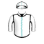 Karacasu