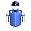 Miss Stalwart