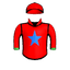 Housebuster Dude