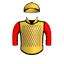 Parvenu