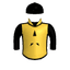 Brightline Bullet