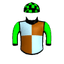 Lady Harlequin
