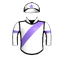 Robin Elite