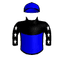 Plagarist